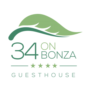 34 On Bonza Logo-01